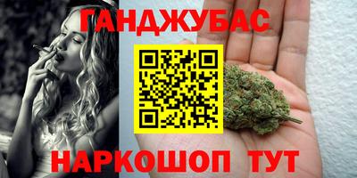 амф Можга