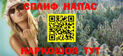шишки Моздок
